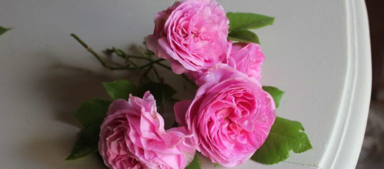 クラシックジャケット